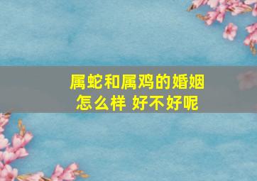 属蛇和属鸡的婚姻怎么样 好不好呢